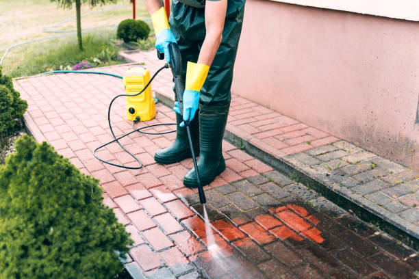 Best Solar Panel Cleaning  in Hewlett, NY
