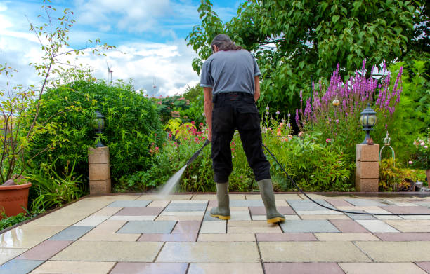 Best Animal Enclosure Cleaning  in Hewlett, NY